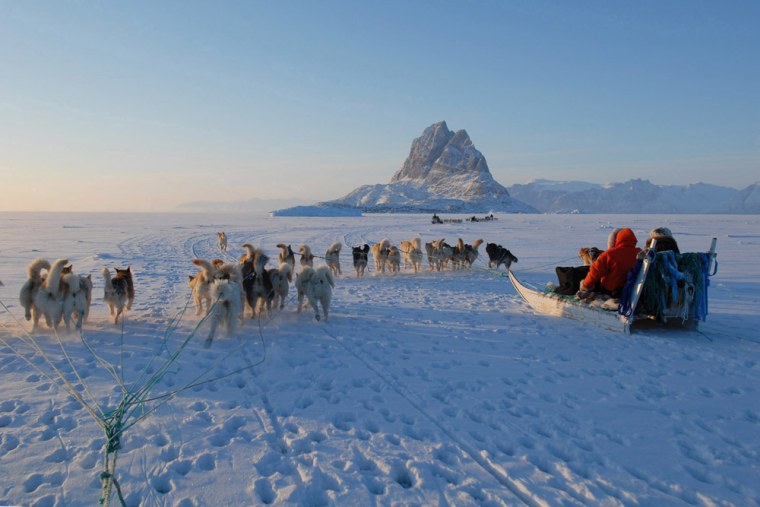 Greenland's sea ice is vanishing — and with it a way of life. Says one local, “A man doesn't feel like a man if he doesn't have dogs.” Here, several dog teams ply the ice on the way to Uummannaq. 